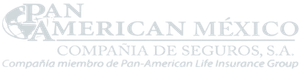 Pan American México